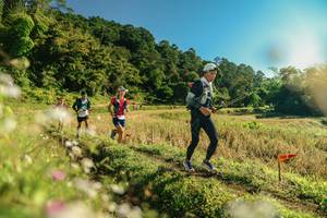 BIB: 
                            <button type="button" onclick="openModal(26637630)" class="btn btn-primary btn-sm float-right btn-popup" data-toggle="modal" data-target=".modal-high-quality">
                        <i class="fas fa-shopping-cart"></i> Add to Cart
                    </button>
                                            <button type="button" onclick="isThisMe(26637630, true)" class="btn btn-success btn-sm float-right btn-popup btn-isme hidden" data-toggle="tooltip" data-placement="bottom" title="นี่คือรูปของคุณใช่ไหม คลิกที่นี่เพื่อเอาเข้าอัลบั้ม">
                        <i class="fas fa-plus"></i> Add to album
                    </button>
                    <button type="button" onclick="isThisMe(26637630, false)" class="btn btn-warning btn-sm float-right btn-popup btn-isnotme hidden">
                        <i class="fas fa-ban"></i> Remove from album
                    </button>