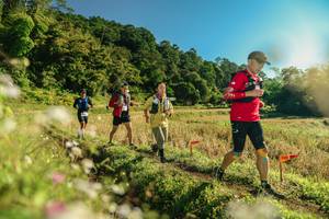 BIB: 
                            <button type="button" onclick="openModal(26637925)" class="btn btn-primary btn-sm float-right btn-popup" data-toggle="modal" data-target=".modal-high-quality">
                        <i class="fas fa-shopping-cart"></i> Add to Cart
                    </button>
                                            <button type="button" onclick="isThisMe(26637925, true)" class="btn btn-success btn-sm float-right btn-popup btn-isme hidden" data-toggle="tooltip" data-placement="bottom" title="นี่คือรูปของคุณใช่ไหม คลิกที่นี่เพื่อเอาเข้าอัลบั้ม">
                        <i class="fas fa-plus"></i> Add to album
                    </button>
                    <button type="button" onclick="isThisMe(26637925, false)" class="btn btn-warning btn-sm float-right btn-popup btn-isnotme hidden">
                        <i class="fas fa-ban"></i> Remove from album
                    </button>