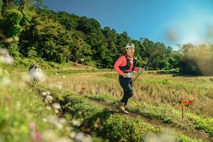 BIB: 
                            <button type="button" onclick="openModal(26690536)" class="btn btn-primary btn-sm float-right btn-popup" data-toggle="modal" data-target=".modal-high-quality">
                        <i class="fas fa-shopping-cart"></i> Add to Cart
                    </button>
                                            <button type="button" onclick="isThisMe(26690536, true)" class="btn btn-success btn-sm float-right btn-popup btn-isme hidden" data-toggle="tooltip" data-placement="bottom" title="นี่คือรูปของคุณใช่ไหม คลิกที่นี่เพื่อเอาเข้าอัลบั้ม">
                        <i class="fas fa-plus"></i> Add to album
                    </button>
                    <button type="button" onclick="isThisMe(26690536, false)" class="btn btn-warning btn-sm float-right btn-popup btn-isnotme hidden">
                        <i class="fas fa-ban"></i> Remove from album
                    </button>