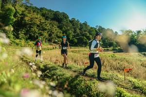 BIB: 
                            <button type="button" onclick="openModal(26636770)" class="btn btn-primary btn-sm float-right btn-popup" data-toggle="modal" data-target=".modal-high-quality">
                        <i class="fas fa-shopping-cart"></i> Add to Cart
                    </button>
                                            <button type="button" onclick="isThisMe(26636770, true)" class="btn btn-success btn-sm float-right btn-popup btn-isme hidden" data-toggle="tooltip" data-placement="bottom" title="นี่คือรูปของคุณใช่ไหม คลิกที่นี่เพื่อเอาเข้าอัลบั้ม">
                        <i class="fas fa-plus"></i> Add to album
                    </button>
                    <button type="button" onclick="isThisMe(26636770, false)" class="btn btn-warning btn-sm float-right btn-popup btn-isnotme hidden">
                        <i class="fas fa-ban"></i> Remove from album
                    </button>