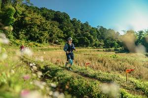 BIB: 
                            <button type="button" onclick="openModal(26636994)" class="btn btn-primary btn-sm float-right btn-popup" data-toggle="modal" data-target=".modal-high-quality">
                        <i class="fas fa-shopping-cart"></i> Add to Cart
                    </button>
                                            <button type="button" onclick="isThisMe(26636994, true)" class="btn btn-success btn-sm float-right btn-popup btn-isme hidden" data-toggle="tooltip" data-placement="bottom" title="นี่คือรูปของคุณใช่ไหม คลิกที่นี่เพื่อเอาเข้าอัลบั้ม">
                        <i class="fas fa-plus"></i> Add to album
                    </button>
                    <button type="button" onclick="isThisMe(26636994, false)" class="btn btn-warning btn-sm float-right btn-popup btn-isnotme hidden">
                        <i class="fas fa-ban"></i> Remove from album
                    </button>