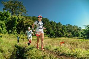 BIB: 
                            <button type="button" onclick="openModal(26701663)" class="btn btn-primary btn-sm float-right btn-popup" data-toggle="modal" data-target=".modal-high-quality">
                        <i class="fas fa-shopping-cart"></i> Add to Cart
                    </button>
                                            <button type="button" onclick="isThisMe(26701663, true)" class="btn btn-success btn-sm float-right btn-popup btn-isme hidden" data-toggle="tooltip" data-placement="bottom" title="นี่คือรูปของคุณใช่ไหม คลิกที่นี่เพื่อเอาเข้าอัลบั้ม">
                        <i class="fas fa-plus"></i> Add to album
                    </button>
                    <button type="button" onclick="isThisMe(26701663, false)" class="btn btn-warning btn-sm float-right btn-popup btn-isnotme hidden">
                        <i class="fas fa-ban"></i> Remove from album
                    </button>