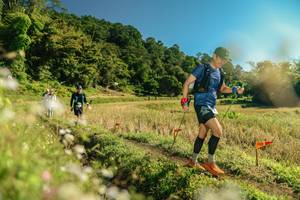 BIB: 
                            <button type="button" onclick="openModal(26684587)" class="btn btn-primary btn-sm float-right btn-popup" data-toggle="modal" data-target=".modal-high-quality">
                        <i class="fas fa-shopping-cart"></i> Add to Cart
                    </button>
                                            <button type="button" onclick="isThisMe(26684587, true)" class="btn btn-success btn-sm float-right btn-popup btn-isme hidden" data-toggle="tooltip" data-placement="bottom" title="นี่คือรูปของคุณใช่ไหม คลิกที่นี่เพื่อเอาเข้าอัลบั้ม">
                        <i class="fas fa-plus"></i> Add to album
                    </button>
                    <button type="button" onclick="isThisMe(26684587, false)" class="btn btn-warning btn-sm float-right btn-popup btn-isnotme hidden">
                        <i class="fas fa-ban"></i> Remove from album
                    </button>