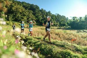 BIB: 
                            <button type="button" onclick="openModal(26633171)" class="btn btn-primary btn-sm float-right btn-popup" data-toggle="modal" data-target=".modal-high-quality">
                        <i class="fas fa-shopping-cart"></i> Add to Cart
                    </button>
                                            <button type="button" onclick="isThisMe(26633171, true)" class="btn btn-success btn-sm float-right btn-popup btn-isme hidden" data-toggle="tooltip" data-placement="bottom" title="นี่คือรูปของคุณใช่ไหม คลิกที่นี่เพื่อเอาเข้าอัลบั้ม">
                        <i class="fas fa-plus"></i> Add to album
                    </button>
                    <button type="button" onclick="isThisMe(26633171, false)" class="btn btn-warning btn-sm float-right btn-popup btn-isnotme hidden">
                        <i class="fas fa-ban"></i> Remove from album
                    </button>