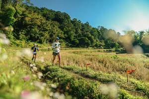 BIB: 
                            <button type="button" onclick="openModal(26636979)" class="btn btn-primary btn-sm float-right btn-popup" data-toggle="modal" data-target=".modal-high-quality">
                        <i class="fas fa-shopping-cart"></i> Add to Cart
                    </button>
                                            <button type="button" onclick="isThisMe(26636979, true)" class="btn btn-success btn-sm float-right btn-popup btn-isme hidden" data-toggle="tooltip" data-placement="bottom" title="นี่คือรูปของคุณใช่ไหม คลิกที่นี่เพื่อเอาเข้าอัลบั้ม">
                        <i class="fas fa-plus"></i> Add to album
                    </button>
                    <button type="button" onclick="isThisMe(26636979, false)" class="btn btn-warning btn-sm float-right btn-popup btn-isnotme hidden">
                        <i class="fas fa-ban"></i> Remove from album
                    </button>