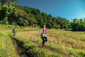 BIB: 
                            <button type="button" onclick="openModal(26715057)" class="btn btn-primary btn-sm float-right btn-popup" data-toggle="modal" data-target=".modal-high-quality">
                        <i class="fas fa-shopping-cart"></i> Add to Cart
                    </button>
                                            <button type="button" onclick="isThisMe(26715057, true)" class="btn btn-success btn-sm float-right btn-popup btn-isme hidden" data-toggle="tooltip" data-placement="bottom" title="นี่คือรูปของคุณใช่ไหม คลิกที่นี่เพื่อเอาเข้าอัลบั้ม">
                        <i class="fas fa-plus"></i> Add to album
                    </button>
                    <button type="button" onclick="isThisMe(26715057, false)" class="btn btn-warning btn-sm float-right btn-popup btn-isnotme hidden">
                        <i class="fas fa-ban"></i> Remove from album
                    </button>