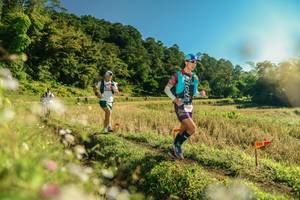 BIB: 
                            <button type="button" onclick="openModal(26638245)" class="btn btn-primary btn-sm float-right btn-popup" data-toggle="modal" data-target=".modal-high-quality">
                        <i class="fas fa-shopping-cart"></i> Add to Cart
                    </button>
                                            <button type="button" onclick="isThisMe(26638245, true)" class="btn btn-success btn-sm float-right btn-popup btn-isme hidden" data-toggle="tooltip" data-placement="bottom" title="นี่คือรูปของคุณใช่ไหม คลิกที่นี่เพื่อเอาเข้าอัลบั้ม">
                        <i class="fas fa-plus"></i> Add to album
                    </button>
                    <button type="button" onclick="isThisMe(26638245, false)" class="btn btn-warning btn-sm float-right btn-popup btn-isnotme hidden">
                        <i class="fas fa-ban"></i> Remove from album
                    </button>