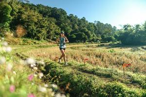 BIB: 
                            <button type="button" onclick="openModal(26632836)" class="btn btn-primary btn-sm float-right btn-popup" data-toggle="modal" data-target=".modal-high-quality">
                        <i class="fas fa-shopping-cart"></i> Add to Cart
                    </button>
                                            <button type="button" onclick="isThisMe(26632836, true)" class="btn btn-success btn-sm float-right btn-popup btn-isme hidden" data-toggle="tooltip" data-placement="bottom" title="นี่คือรูปของคุณใช่ไหม คลิกที่นี่เพื่อเอาเข้าอัลบั้ม">
                        <i class="fas fa-plus"></i> Add to album
                    </button>
                    <button type="button" onclick="isThisMe(26632836, false)" class="btn btn-warning btn-sm float-right btn-popup btn-isnotme hidden">
                        <i class="fas fa-ban"></i> Remove from album
                    </button>