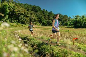 BIB: 
                            <button type="button" onclick="openModal(26726338)" class="btn btn-primary btn-sm float-right btn-popup" data-toggle="modal" data-target=".modal-high-quality">
                        <i class="fas fa-shopping-cart"></i> Add to Cart
                    </button>
                                            <button type="button" onclick="isThisMe(26726338, true)" class="btn btn-success btn-sm float-right btn-popup btn-isme hidden" data-toggle="tooltip" data-placement="bottom" title="นี่คือรูปของคุณใช่ไหม คลิกที่นี่เพื่อเอาเข้าอัลบั้ม">
                        <i class="fas fa-plus"></i> Add to album
                    </button>
                    <button type="button" onclick="isThisMe(26726338, false)" class="btn btn-warning btn-sm float-right btn-popup btn-isnotme hidden">
                        <i class="fas fa-ban"></i> Remove from album
                    </button>