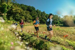 BIB: 
                            <button type="button" onclick="openModal(26678633)" class="btn btn-primary btn-sm float-right btn-popup" data-toggle="modal" data-target=".modal-high-quality">
                        <i class="fas fa-shopping-cart"></i> Add to Cart
                    </button>
                                            <button type="button" onclick="isThisMe(26678633, true)" class="btn btn-success btn-sm float-right btn-popup btn-isme hidden" data-toggle="tooltip" data-placement="bottom" title="นี่คือรูปของคุณใช่ไหม คลิกที่นี่เพื่อเอาเข้าอัลบั้ม">
                        <i class="fas fa-plus"></i> Add to album
                    </button>
                    <button type="button" onclick="isThisMe(26678633, false)" class="btn btn-warning btn-sm float-right btn-popup btn-isnotme hidden">
                        <i class="fas fa-ban"></i> Remove from album
                    </button>