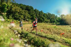 BIB: 
                            <button type="button" onclick="openModal(26638522)" class="btn btn-primary btn-sm float-right btn-popup" data-toggle="modal" data-target=".modal-high-quality">
                        <i class="fas fa-shopping-cart"></i> Add to Cart
                    </button>
                                            <button type="button" onclick="isThisMe(26638522, true)" class="btn btn-success btn-sm float-right btn-popup btn-isme hidden" data-toggle="tooltip" data-placement="bottom" title="นี่คือรูปของคุณใช่ไหม คลิกที่นี่เพื่อเอาเข้าอัลบั้ม">
                        <i class="fas fa-plus"></i> Add to album
                    </button>
                    <button type="button" onclick="isThisMe(26638522, false)" class="btn btn-warning btn-sm float-right btn-popup btn-isnotme hidden">
                        <i class="fas fa-ban"></i> Remove from album
                    </button>