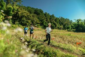 BIB: 
                            <button type="button" onclick="openModal(26703313)" class="btn btn-primary btn-sm float-right btn-popup" data-toggle="modal" data-target=".modal-high-quality">
                        <i class="fas fa-shopping-cart"></i> Add to Cart
                    </button>
                                            <button type="button" onclick="isThisMe(26703313, true)" class="btn btn-success btn-sm float-right btn-popup btn-isme hidden" data-toggle="tooltip" data-placement="bottom" title="นี่คือรูปของคุณใช่ไหม คลิกที่นี่เพื่อเอาเข้าอัลบั้ม">
                        <i class="fas fa-plus"></i> Add to album
                    </button>
                    <button type="button" onclick="isThisMe(26703313, false)" class="btn btn-warning btn-sm float-right btn-popup btn-isnotme hidden">
                        <i class="fas fa-ban"></i> Remove from album
                    </button>