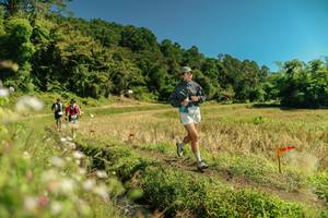 BIB: 
                            <button type="button" onclick="openModal(26722285)" class="btn btn-primary btn-sm float-right btn-popup" data-toggle="modal" data-target=".modal-high-quality">
                        <i class="fas fa-shopping-cart"></i> Add to Cart
                    </button>
                                            <button type="button" onclick="isThisMe(26722285, true)" class="btn btn-success btn-sm float-right btn-popup btn-isme hidden" data-toggle="tooltip" data-placement="bottom" title="นี่คือรูปของคุณใช่ไหม คลิกที่นี่เพื่อเอาเข้าอัลบั้ม">
                        <i class="fas fa-plus"></i> Add to album
                    </button>
                    <button type="button" onclick="isThisMe(26722285, false)" class="btn btn-warning btn-sm float-right btn-popup btn-isnotme hidden">
                        <i class="fas fa-ban"></i> Remove from album
                    </button>