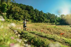 BIB: 
                            <button type="button" onclick="openModal(26637780)" class="btn btn-primary btn-sm float-right btn-popup" data-toggle="modal" data-target=".modal-high-quality">
                        <i class="fas fa-shopping-cart"></i> Add to Cart
                    </button>
                                            <button type="button" onclick="isThisMe(26637780, true)" class="btn btn-success btn-sm float-right btn-popup btn-isme hidden" data-toggle="tooltip" data-placement="bottom" title="นี่คือรูปของคุณใช่ไหม คลิกที่นี่เพื่อเอาเข้าอัลบั้ม">
                        <i class="fas fa-plus"></i> Add to album
                    </button>
                    <button type="button" onclick="isThisMe(26637780, false)" class="btn btn-warning btn-sm float-right btn-popup btn-isnotme hidden">
                        <i class="fas fa-ban"></i> Remove from album
                    </button>