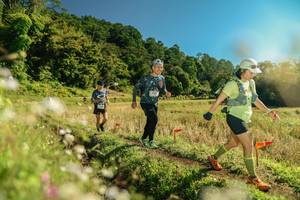 BIB: 
                            <button type="button" onclick="openModal(26690670)" class="btn btn-primary btn-sm float-right btn-popup" data-toggle="modal" data-target=".modal-high-quality">
                        <i class="fas fa-shopping-cart"></i> Add to Cart
                    </button>
                                            <button type="button" onclick="isThisMe(26690670, true)" class="btn btn-success btn-sm float-right btn-popup btn-isme hidden" data-toggle="tooltip" data-placement="bottom" title="นี่คือรูปของคุณใช่ไหม คลิกที่นี่เพื่อเอาเข้าอัลบั้ม">
                        <i class="fas fa-plus"></i> Add to album
                    </button>
                    <button type="button" onclick="isThisMe(26690670, false)" class="btn btn-warning btn-sm float-right btn-popup btn-isnotme hidden">
                        <i class="fas fa-ban"></i> Remove from album
                    </button>