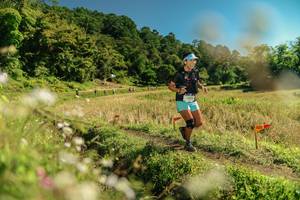 BIB: 
                            <button type="button" onclick="openModal(26699283)" class="btn btn-primary btn-sm float-right btn-popup" data-toggle="modal" data-target=".modal-high-quality">
                        <i class="fas fa-shopping-cart"></i> Add to Cart
                    </button>
                                            <button type="button" onclick="isThisMe(26699283, true)" class="btn btn-success btn-sm float-right btn-popup btn-isme hidden" data-toggle="tooltip" data-placement="bottom" title="นี่คือรูปของคุณใช่ไหม คลิกที่นี่เพื่อเอาเข้าอัลบั้ม">
                        <i class="fas fa-plus"></i> Add to album
                    </button>
                    <button type="button" onclick="isThisMe(26699283, false)" class="btn btn-warning btn-sm float-right btn-popup btn-isnotme hidden">
                        <i class="fas fa-ban"></i> Remove from album
                    </button>