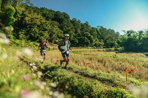 BIB: 
                            <button type="button" onclick="openModal(26637349)" class="btn btn-primary btn-sm float-right btn-popup" data-toggle="modal" data-target=".modal-high-quality">
                        <i class="fas fa-shopping-cart"></i> Add to Cart
                    </button>
                                            <button type="button" onclick="isThisMe(26637349, true)" class="btn btn-success btn-sm float-right btn-popup btn-isme hidden" data-toggle="tooltip" data-placement="bottom" title="นี่คือรูปของคุณใช่ไหม คลิกที่นี่เพื่อเอาเข้าอัลบั้ม">
                        <i class="fas fa-plus"></i> Add to album
                    </button>
                    <button type="button" onclick="isThisMe(26637349, false)" class="btn btn-warning btn-sm float-right btn-popup btn-isnotme hidden">
                        <i class="fas fa-ban"></i> Remove from album
                    </button>