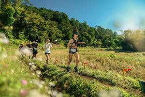 BIB: 
                            <button type="button" onclick="openModal(26638985)" class="btn btn-primary btn-sm float-right btn-popup" data-toggle="modal" data-target=".modal-high-quality">
                        <i class="fas fa-shopping-cart"></i> Add to Cart
                    </button>
                                            <button type="button" onclick="isThisMe(26638985, true)" class="btn btn-success btn-sm float-right btn-popup btn-isme hidden" data-toggle="tooltip" data-placement="bottom" title="นี่คือรูปของคุณใช่ไหม คลิกที่นี่เพื่อเอาเข้าอัลบั้ม">
                        <i class="fas fa-plus"></i> Add to album
                    </button>
                    <button type="button" onclick="isThisMe(26638985, false)" class="btn btn-warning btn-sm float-right btn-popup btn-isnotme hidden">
                        <i class="fas fa-ban"></i> Remove from album
                    </button>