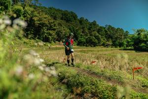 BIB: 
                            <button type="button" onclick="openModal(26736738)" class="btn btn-primary btn-sm float-right btn-popup" data-toggle="modal" data-target=".modal-high-quality">
                        <i class="fas fa-shopping-cart"></i> Add to Cart
                    </button>
                                            <button type="button" onclick="isThisMe(26736738, true)" class="btn btn-success btn-sm float-right btn-popup btn-isme hidden" data-toggle="tooltip" data-placement="bottom" title="นี่คือรูปของคุณใช่ไหม คลิกที่นี่เพื่อเอาเข้าอัลบั้ม">
                        <i class="fas fa-plus"></i> Add to album
                    </button>
                    <button type="button" onclick="isThisMe(26736738, false)" class="btn btn-warning btn-sm float-right btn-popup btn-isnotme hidden">
                        <i class="fas fa-ban"></i> Remove from album
                    </button>