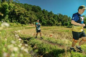 BIB: 
                            <button type="button" onclick="openModal(26726981)" class="btn btn-primary btn-sm float-right btn-popup" data-toggle="modal" data-target=".modal-high-quality">
                        <i class="fas fa-shopping-cart"></i> Add to Cart
                    </button>
                                            <button type="button" onclick="isThisMe(26726981, true)" class="btn btn-success btn-sm float-right btn-popup btn-isme hidden" data-toggle="tooltip" data-placement="bottom" title="นี่คือรูปของคุณใช่ไหม คลิกที่นี่เพื่อเอาเข้าอัลบั้ม">
                        <i class="fas fa-plus"></i> Add to album
                    </button>
                    <button type="button" onclick="isThisMe(26726981, false)" class="btn btn-warning btn-sm float-right btn-popup btn-isnotme hidden">
                        <i class="fas fa-ban"></i> Remove from album
                    </button>