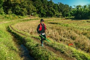 BIB: 
                            <button type="button" onclick="openModal(26692848)" class="btn btn-primary btn-sm float-right btn-popup" data-toggle="modal" data-target=".modal-high-quality">
                        <i class="fas fa-shopping-cart"></i> Add to Cart
                    </button>
                                            <button type="button" onclick="isThisMe(26692848, true)" class="btn btn-success btn-sm float-right btn-popup btn-isme hidden" data-toggle="tooltip" data-placement="bottom" title="นี่คือรูปของคุณใช่ไหม คลิกที่นี่เพื่อเอาเข้าอัลบั้ม">
                        <i class="fas fa-plus"></i> Add to album
                    </button>
                    <button type="button" onclick="isThisMe(26692848, false)" class="btn btn-warning btn-sm float-right btn-popup btn-isnotme hidden">
                        <i class="fas fa-ban"></i> Remove from album
                    </button>