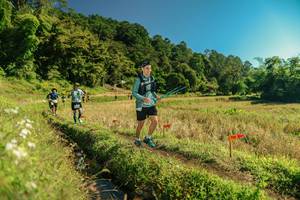 BIB: 
                            <button type="button" onclick="openModal(26694470)" class="btn btn-primary btn-sm float-right btn-popup" data-toggle="modal" data-target=".modal-high-quality">
                        <i class="fas fa-shopping-cart"></i> Add to Cart
                    </button>
                                            <button type="button" onclick="isThisMe(26694470, true)" class="btn btn-success btn-sm float-right btn-popup btn-isme hidden" data-toggle="tooltip" data-placement="bottom" title="นี่คือรูปของคุณใช่ไหม คลิกที่นี่เพื่อเอาเข้าอัลบั้ม">
                        <i class="fas fa-plus"></i> Add to album
                    </button>
                    <button type="button" onclick="isThisMe(26694470, false)" class="btn btn-warning btn-sm float-right btn-popup btn-isnotme hidden">
                        <i class="fas fa-ban"></i> Remove from album
                    </button>