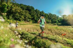 BIB: 
                            <button type="button" onclick="openModal(26638338)" class="btn btn-primary btn-sm float-right btn-popup" data-toggle="modal" data-target=".modal-high-quality">
                        <i class="fas fa-shopping-cart"></i> Add to Cart
                    </button>
                                            <button type="button" onclick="isThisMe(26638338, true)" class="btn btn-success btn-sm float-right btn-popup btn-isme hidden" data-toggle="tooltip" data-placement="bottom" title="นี่คือรูปของคุณใช่ไหม คลิกที่นี่เพื่อเอาเข้าอัลบั้ม">
                        <i class="fas fa-plus"></i> Add to album
                    </button>
                    <button type="button" onclick="isThisMe(26638338, false)" class="btn btn-warning btn-sm float-right btn-popup btn-isnotme hidden">
                        <i class="fas fa-ban"></i> Remove from album
                    </button>