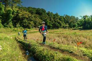 BIB: 
                            <button type="button" onclick="openModal(26694288)" class="btn btn-primary btn-sm float-right btn-popup" data-toggle="modal" data-target=".modal-high-quality">
                        <i class="fas fa-shopping-cart"></i> Add to Cart
                    </button>
                                            <button type="button" onclick="isThisMe(26694288, true)" class="btn btn-success btn-sm float-right btn-popup btn-isme hidden" data-toggle="tooltip" data-placement="bottom" title="นี่คือรูปของคุณใช่ไหม คลิกที่นี่เพื่อเอาเข้าอัลบั้ม">
                        <i class="fas fa-plus"></i> Add to album
                    </button>
                    <button type="button" onclick="isThisMe(26694288, false)" class="btn btn-warning btn-sm float-right btn-popup btn-isnotme hidden">
                        <i class="fas fa-ban"></i> Remove from album
                    </button>