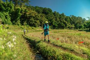 BIB: 
                            <button type="button" onclick="openModal(26694599)" class="btn btn-primary btn-sm float-right btn-popup" data-toggle="modal" data-target=".modal-high-quality">
                        <i class="fas fa-shopping-cart"></i> Add to Cart
                    </button>
                                            <button type="button" onclick="isThisMe(26694599, true)" class="btn btn-success btn-sm float-right btn-popup btn-isme hidden" data-toggle="tooltip" data-placement="bottom" title="นี่คือรูปของคุณใช่ไหม คลิกที่นี่เพื่อเอาเข้าอัลบั้ม">
                        <i class="fas fa-plus"></i> Add to album
                    </button>
                    <button type="button" onclick="isThisMe(26694599, false)" class="btn btn-warning btn-sm float-right btn-popup btn-isnotme hidden">
                        <i class="fas fa-ban"></i> Remove from album
                    </button>