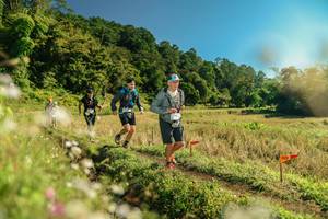 BIB: 
                            <button type="button" onclick="openModal(26686566)" class="btn btn-primary btn-sm float-right btn-popup" data-toggle="modal" data-target=".modal-high-quality">
                        <i class="fas fa-shopping-cart"></i> Add to Cart
                    </button>
                                            <button type="button" onclick="isThisMe(26686566, true)" class="btn btn-success btn-sm float-right btn-popup btn-isme hidden" data-toggle="tooltip" data-placement="bottom" title="นี่คือรูปของคุณใช่ไหม คลิกที่นี่เพื่อเอาเข้าอัลบั้ม">
                        <i class="fas fa-plus"></i> Add to album
                    </button>
                    <button type="button" onclick="isThisMe(26686566, false)" class="btn btn-warning btn-sm float-right btn-popup btn-isnotme hidden">
                        <i class="fas fa-ban"></i> Remove from album
                    </button>