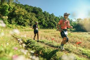 BIB: 
                            <button type="button" onclick="openModal(26637808)" class="btn btn-primary btn-sm float-right btn-popup" data-toggle="modal" data-target=".modal-high-quality">
                        <i class="fas fa-shopping-cart"></i> Add to Cart
                    </button>
                                            <button type="button" onclick="isThisMe(26637808, true)" class="btn btn-success btn-sm float-right btn-popup btn-isme hidden" data-toggle="tooltip" data-placement="bottom" title="นี่คือรูปของคุณใช่ไหม คลิกที่นี่เพื่อเอาเข้าอัลบั้ม">
                        <i class="fas fa-plus"></i> Add to album
                    </button>
                    <button type="button" onclick="isThisMe(26637808, false)" class="btn btn-warning btn-sm float-right btn-popup btn-isnotme hidden">
                        <i class="fas fa-ban"></i> Remove from album
                    </button>