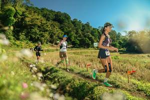 BIB: 
                            <button type="button" onclick="openModal(26671485)" class="btn btn-primary btn-sm float-right btn-popup" data-toggle="modal" data-target=".modal-high-quality">
                        <i class="fas fa-shopping-cart"></i> Add to Cart
                    </button>
                                            <button type="button" onclick="isThisMe(26671485, true)" class="btn btn-success btn-sm float-right btn-popup btn-isme hidden" data-toggle="tooltip" data-placement="bottom" title="นี่คือรูปของคุณใช่ไหม คลิกที่นี่เพื่อเอาเข้าอัลบั้ม">
                        <i class="fas fa-plus"></i> Add to album
                    </button>
                    <button type="button" onclick="isThisMe(26671485, false)" class="btn btn-warning btn-sm float-right btn-popup btn-isnotme hidden">
                        <i class="fas fa-ban"></i> Remove from album
                    </button>