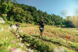 BIB: 
                            <button type="button" onclick="openModal(26637797)" class="btn btn-primary btn-sm float-right btn-popup" data-toggle="modal" data-target=".modal-high-quality">
                        <i class="fas fa-shopping-cart"></i> Add to Cart
                    </button>
                                            <button type="button" onclick="isThisMe(26637797, true)" class="btn btn-success btn-sm float-right btn-popup btn-isme hidden" data-toggle="tooltip" data-placement="bottom" title="นี่คือรูปของคุณใช่ไหม คลิกที่นี่เพื่อเอาเข้าอัลบั้ม">
                        <i class="fas fa-plus"></i> Add to album
                    </button>
                    <button type="button" onclick="isThisMe(26637797, false)" class="btn btn-warning btn-sm float-right btn-popup btn-isnotme hidden">
                        <i class="fas fa-ban"></i> Remove from album
                    </button>