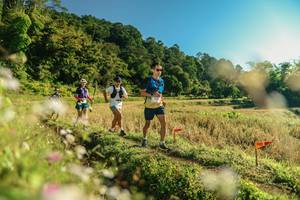 BIB: 
                            <button type="button" onclick="openModal(26636894)" class="btn btn-primary btn-sm float-right btn-popup" data-toggle="modal" data-target=".modal-high-quality">
                        <i class="fas fa-shopping-cart"></i> Add to Cart
                    </button>
                                            <button type="button" onclick="isThisMe(26636894, true)" class="btn btn-success btn-sm float-right btn-popup btn-isme hidden" data-toggle="tooltip" data-placement="bottom" title="นี่คือรูปของคุณใช่ไหม คลิกที่นี่เพื่อเอาเข้าอัลบั้ม">
                        <i class="fas fa-plus"></i> Add to album
                    </button>
                    <button type="button" onclick="isThisMe(26636894, false)" class="btn btn-warning btn-sm float-right btn-popup btn-isnotme hidden">
                        <i class="fas fa-ban"></i> Remove from album
                    </button>