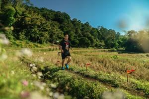 BIB: 
                            <button type="button" onclick="openModal(26638679)" class="btn btn-primary btn-sm float-right btn-popup" data-toggle="modal" data-target=".modal-high-quality">
                        <i class="fas fa-shopping-cart"></i> Add to Cart
                    </button>
                                            <button type="button" onclick="isThisMe(26638679, true)" class="btn btn-success btn-sm float-right btn-popup btn-isme hidden" data-toggle="tooltip" data-placement="bottom" title="นี่คือรูปของคุณใช่ไหม คลิกที่นี่เพื่อเอาเข้าอัลบั้ม">
                        <i class="fas fa-plus"></i> Add to album
                    </button>
                    <button type="button" onclick="isThisMe(26638679, false)" class="btn btn-warning btn-sm float-right btn-popup btn-isnotme hidden">
                        <i class="fas fa-ban"></i> Remove from album
                    </button>