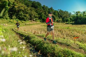 BIB: 
                            <button type="button" onclick="openModal(26697162)" class="btn btn-primary btn-sm float-right btn-popup" data-toggle="modal" data-target=".modal-high-quality">
                        <i class="fas fa-shopping-cart"></i> Add to Cart
                    </button>
                                            <button type="button" onclick="isThisMe(26697162, true)" class="btn btn-success btn-sm float-right btn-popup btn-isme hidden" data-toggle="tooltip" data-placement="bottom" title="นี่คือรูปของคุณใช่ไหม คลิกที่นี่เพื่อเอาเข้าอัลบั้ม">
                        <i class="fas fa-plus"></i> Add to album
                    </button>
                    <button type="button" onclick="isThisMe(26697162, false)" class="btn btn-warning btn-sm float-right btn-popup btn-isnotme hidden">
                        <i class="fas fa-ban"></i> Remove from album
                    </button>