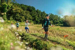 BIB: 
                            <button type="button" onclick="openModal(26684669)" class="btn btn-primary btn-sm float-right btn-popup" data-toggle="modal" data-target=".modal-high-quality">
                        <i class="fas fa-shopping-cart"></i> Add to Cart
                    </button>
                                            <button type="button" onclick="isThisMe(26684669, true)" class="btn btn-success btn-sm float-right btn-popup btn-isme hidden" data-toggle="tooltip" data-placement="bottom" title="นี่คือรูปของคุณใช่ไหม คลิกที่นี่เพื่อเอาเข้าอัลบั้ม">
                        <i class="fas fa-plus"></i> Add to album
                    </button>
                    <button type="button" onclick="isThisMe(26684669, false)" class="btn btn-warning btn-sm float-right btn-popup btn-isnotme hidden">
                        <i class="fas fa-ban"></i> Remove from album
                    </button>