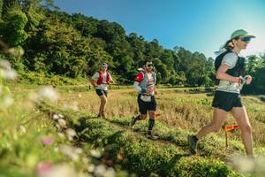 BIB: 
                            <button type="button" onclick="openModal(26637446)" class="btn btn-primary btn-sm float-right btn-popup" data-toggle="modal" data-target=".modal-high-quality">
                        <i class="fas fa-shopping-cart"></i> Add to Cart
                    </button>
                                            <button type="button" onclick="isThisMe(26637446, true)" class="btn btn-success btn-sm float-right btn-popup btn-isme hidden" data-toggle="tooltip" data-placement="bottom" title="นี่คือรูปของคุณใช่ไหม คลิกที่นี่เพื่อเอาเข้าอัลบั้ม">
                        <i class="fas fa-plus"></i> Add to album
                    </button>
                    <button type="button" onclick="isThisMe(26637446, false)" class="btn btn-warning btn-sm float-right btn-popup btn-isnotme hidden">
                        <i class="fas fa-ban"></i> Remove from album
                    </button>