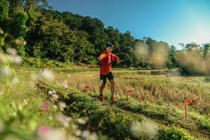 BIB: 
                            <button type="button" onclick="openModal(26636148)" class="btn btn-primary btn-sm float-right btn-popup" data-toggle="modal" data-target=".modal-high-quality">
                        <i class="fas fa-shopping-cart"></i> Add to Cart
                    </button>
                                            <button type="button" onclick="isThisMe(26636148, true)" class="btn btn-success btn-sm float-right btn-popup btn-isme hidden" data-toggle="tooltip" data-placement="bottom" title="นี่คือรูปของคุณใช่ไหม คลิกที่นี่เพื่อเอาเข้าอัลบั้ม">
                        <i class="fas fa-plus"></i> Add to album
                    </button>
                    <button type="button" onclick="isThisMe(26636148, false)" class="btn btn-warning btn-sm float-right btn-popup btn-isnotme hidden">
                        <i class="fas fa-ban"></i> Remove from album
                    </button>