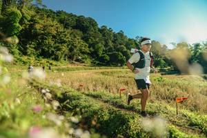 BIB: 
                            <button type="button" onclick="openModal(26636936)" class="btn btn-primary btn-sm float-right btn-popup" data-toggle="modal" data-target=".modal-high-quality">
                        <i class="fas fa-shopping-cart"></i> Add to Cart
                    </button>
                                            <button type="button" onclick="isThisMe(26636936, true)" class="btn btn-success btn-sm float-right btn-popup btn-isme hidden" data-toggle="tooltip" data-placement="bottom" title="นี่คือรูปของคุณใช่ไหม คลิกที่นี่เพื่อเอาเข้าอัลบั้ม">
                        <i class="fas fa-plus"></i> Add to album
                    </button>
                    <button type="button" onclick="isThisMe(26636936, false)" class="btn btn-warning btn-sm float-right btn-popup btn-isnotme hidden">
                        <i class="fas fa-ban"></i> Remove from album
                    </button>