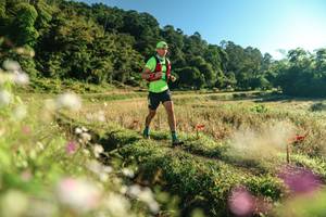 BIB: 
                            <button type="button" onclick="openModal(26634320)" class="btn btn-primary btn-sm float-right btn-popup" data-toggle="modal" data-target=".modal-high-quality">
                        <i class="fas fa-shopping-cart"></i> Add to Cart
                    </button>
                                            <button type="button" onclick="isThisMe(26634320, true)" class="btn btn-success btn-sm float-right btn-popup btn-isme hidden" data-toggle="tooltip" data-placement="bottom" title="นี่คือรูปของคุณใช่ไหม คลิกที่นี่เพื่อเอาเข้าอัลบั้ม">
                        <i class="fas fa-plus"></i> Add to album
                    </button>
                    <button type="button" onclick="isThisMe(26634320, false)" class="btn btn-warning btn-sm float-right btn-popup btn-isnotme hidden">
                        <i class="fas fa-ban"></i> Remove from album
                    </button>