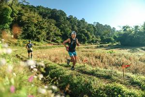 BIB: 
                            <button type="button" onclick="openModal(26632588)" class="btn btn-primary btn-sm float-right btn-popup" data-toggle="modal" data-target=".modal-high-quality">
                        <i class="fas fa-shopping-cart"></i> Add to Cart
                    </button>
                                            <button type="button" onclick="isThisMe(26632588, true)" class="btn btn-success btn-sm float-right btn-popup btn-isme hidden" data-toggle="tooltip" data-placement="bottom" title="นี่คือรูปของคุณใช่ไหม คลิกที่นี่เพื่อเอาเข้าอัลบั้ม">
                        <i class="fas fa-plus"></i> Add to album
                    </button>
                    <button type="button" onclick="isThisMe(26632588, false)" class="btn btn-warning btn-sm float-right btn-popup btn-isnotme hidden">
                        <i class="fas fa-ban"></i> Remove from album
                    </button>