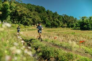 BIB: 
                            <button type="button" onclick="openModal(26732739)" class="btn btn-primary btn-sm float-right btn-popup" data-toggle="modal" data-target=".modal-high-quality">
                        <i class="fas fa-shopping-cart"></i> Add to Cart
                    </button>
                                            <button type="button" onclick="isThisMe(26732739, true)" class="btn btn-success btn-sm float-right btn-popup btn-isme hidden" data-toggle="tooltip" data-placement="bottom" title="นี่คือรูปของคุณใช่ไหม คลิกที่นี่เพื่อเอาเข้าอัลบั้ม">
                        <i class="fas fa-plus"></i> Add to album
                    </button>
                    <button type="button" onclick="isThisMe(26732739, false)" class="btn btn-warning btn-sm float-right btn-popup btn-isnotme hidden">
                        <i class="fas fa-ban"></i> Remove from album
                    </button>