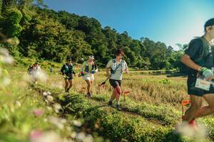 BIB: 
                            <button type="button" onclick="openModal(26637178)" class="btn btn-primary btn-sm float-right btn-popup" data-toggle="modal" data-target=".modal-high-quality">
                        <i class="fas fa-shopping-cart"></i> Add to Cart
                    </button>
                                            <button type="button" onclick="isThisMe(26637178, true)" class="btn btn-success btn-sm float-right btn-popup btn-isme hidden" data-toggle="tooltip" data-placement="bottom" title="นี่คือรูปของคุณใช่ไหม คลิกที่นี่เพื่อเอาเข้าอัลบั้ม">
                        <i class="fas fa-plus"></i> Add to album
                    </button>
                    <button type="button" onclick="isThisMe(26637178, false)" class="btn btn-warning btn-sm float-right btn-popup btn-isnotme hidden">
                        <i class="fas fa-ban"></i> Remove from album
                    </button>