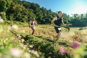 BIB: 
                            <button type="button" onclick="openModal(26634016)" class="btn btn-primary btn-sm float-right btn-popup" data-toggle="modal" data-target=".modal-high-quality">
                        <i class="fas fa-shopping-cart"></i> Add to Cart
                    </button>
                                            <button type="button" onclick="isThisMe(26634016, true)" class="btn btn-success btn-sm float-right btn-popup btn-isme hidden" data-toggle="tooltip" data-placement="bottom" title="นี่คือรูปของคุณใช่ไหม คลิกที่นี่เพื่อเอาเข้าอัลบั้ม">
                        <i class="fas fa-plus"></i> Add to album
                    </button>
                    <button type="button" onclick="isThisMe(26634016, false)" class="btn btn-warning btn-sm float-right btn-popup btn-isnotme hidden">
                        <i class="fas fa-ban"></i> Remove from album
                    </button>