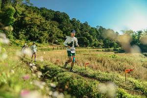 BIB: 
                            <button type="button" onclick="openModal(26636974)" class="btn btn-primary btn-sm float-right btn-popup" data-toggle="modal" data-target=".modal-high-quality">
                        <i class="fas fa-shopping-cart"></i> Add to Cart
                    </button>
                                            <button type="button" onclick="isThisMe(26636974, true)" class="btn btn-success btn-sm float-right btn-popup btn-isme hidden" data-toggle="tooltip" data-placement="bottom" title="นี่คือรูปของคุณใช่ไหม คลิกที่นี่เพื่อเอาเข้าอัลบั้ม">
                        <i class="fas fa-plus"></i> Add to album
                    </button>
                    <button type="button" onclick="isThisMe(26636974, false)" class="btn btn-warning btn-sm float-right btn-popup btn-isnotme hidden">
                        <i class="fas fa-ban"></i> Remove from album
                    </button>