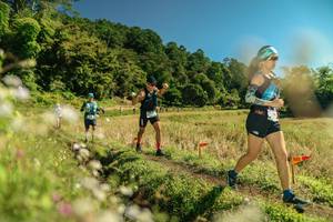 BIB: 
                            <button type="button" onclick="openModal(26700237)" class="btn btn-primary btn-sm float-right btn-popup" data-toggle="modal" data-target=".modal-high-quality">
                        <i class="fas fa-shopping-cart"></i> Add to Cart
                    </button>
                                            <button type="button" onclick="isThisMe(26700237, true)" class="btn btn-success btn-sm float-right btn-popup btn-isme hidden" data-toggle="tooltip" data-placement="bottom" title="นี่คือรูปของคุณใช่ไหม คลิกที่นี่เพื่อเอาเข้าอัลบั้ม">
                        <i class="fas fa-plus"></i> Add to album
                    </button>
                    <button type="button" onclick="isThisMe(26700237, false)" class="btn btn-warning btn-sm float-right btn-popup btn-isnotme hidden">
                        <i class="fas fa-ban"></i> Remove from album
                    </button>