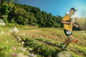 BIB: 
                            <button type="button" onclick="openModal(26669328)" class="btn btn-primary btn-sm float-right btn-popup" data-toggle="modal" data-target=".modal-high-quality">
                        <i class="fas fa-shopping-cart"></i> Add to Cart
                    </button>
                                            <button type="button" onclick="isThisMe(26669328, true)" class="btn btn-success btn-sm float-right btn-popup btn-isme hidden" data-toggle="tooltip" data-placement="bottom" title="นี่คือรูปของคุณใช่ไหม คลิกที่นี่เพื่อเอาเข้าอัลบั้ม">
                        <i class="fas fa-plus"></i> Add to album
                    </button>
                    <button type="button" onclick="isThisMe(26669328, false)" class="btn btn-warning btn-sm float-right btn-popup btn-isnotme hidden">
                        <i class="fas fa-ban"></i> Remove from album
                    </button>