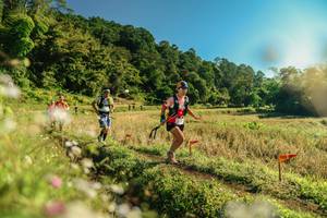 BIB: 
                            <button type="button" onclick="openModal(26638523)" class="btn btn-primary btn-sm float-right btn-popup" data-toggle="modal" data-target=".modal-high-quality">
                        <i class="fas fa-shopping-cart"></i> Add to Cart
                    </button>
                                            <button type="button" onclick="isThisMe(26638523, true)" class="btn btn-success btn-sm float-right btn-popup btn-isme hidden" data-toggle="tooltip" data-placement="bottom" title="นี่คือรูปของคุณใช่ไหม คลิกที่นี่เพื่อเอาเข้าอัลบั้ม">
                        <i class="fas fa-plus"></i> Add to album
                    </button>
                    <button type="button" onclick="isThisMe(26638523, false)" class="btn btn-warning btn-sm float-right btn-popup btn-isnotme hidden">
                        <i class="fas fa-ban"></i> Remove from album
                    </button>