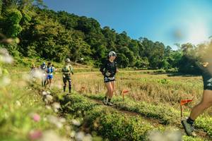 BIB: 
                            <button type="button" onclick="openModal(26638451)" class="btn btn-primary btn-sm float-right btn-popup" data-toggle="modal" data-target=".modal-high-quality">
                        <i class="fas fa-shopping-cart"></i> Add to Cart
                    </button>
                                            <button type="button" onclick="isThisMe(26638451, true)" class="btn btn-success btn-sm float-right btn-popup btn-isme hidden" data-toggle="tooltip" data-placement="bottom" title="นี่คือรูปของคุณใช่ไหม คลิกที่นี่เพื่อเอาเข้าอัลบั้ม">
                        <i class="fas fa-plus"></i> Add to album
                    </button>
                    <button type="button" onclick="isThisMe(26638451, false)" class="btn btn-warning btn-sm float-right btn-popup btn-isnotme hidden">
                        <i class="fas fa-ban"></i> Remove from album
                    </button>